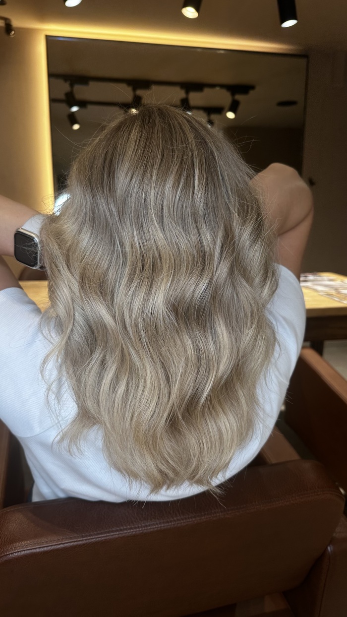 servicio balayage en les corts 6